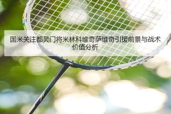 国米关注都灵门将米林科维奇萨维奇引援前景与战术价值分析
